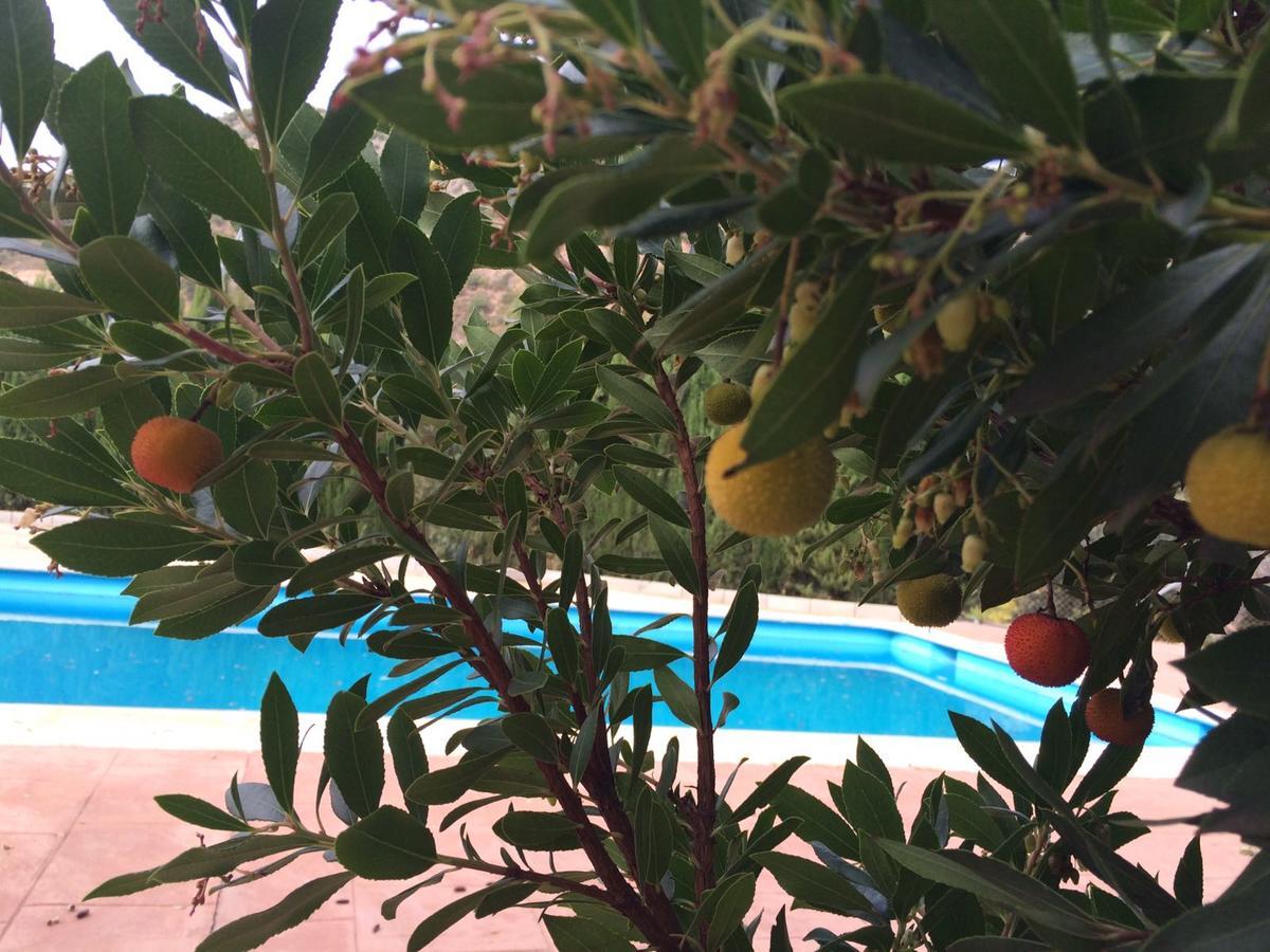 Villa La Quinta بييغو ذي كورذوبا المظهر الخارجي الصورة