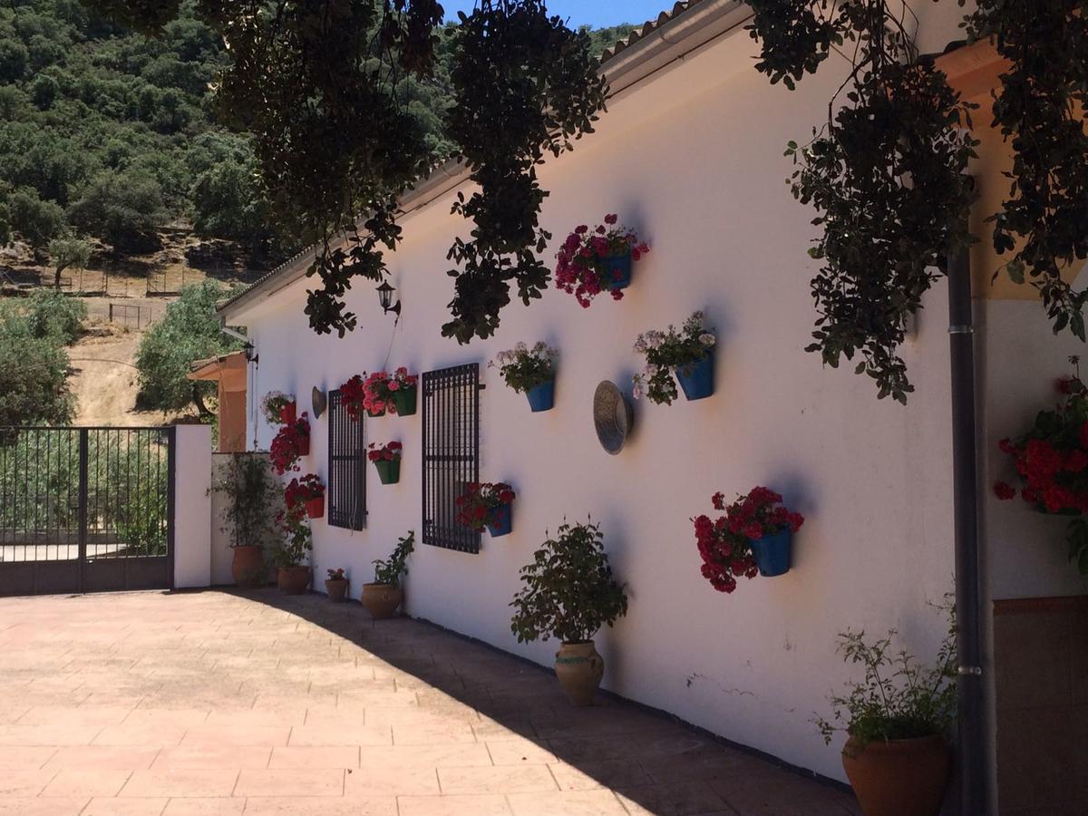 Villa La Quinta بييغو ذي كورذوبا المظهر الخارجي الصورة