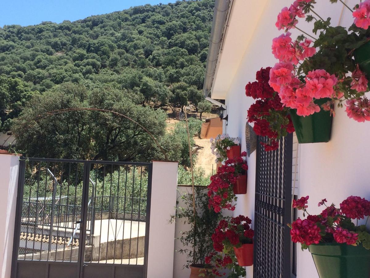 Villa La Quinta بييغو ذي كورذوبا المظهر الخارجي الصورة